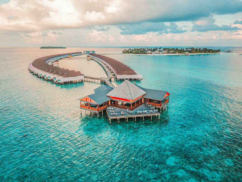 Sun loungers lined up on a beach
